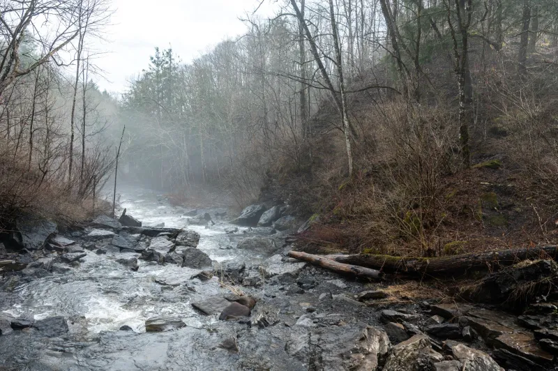 Off the Beaten Drift: Finding Solitude and Trophy Fish on the Au Sable's Overlooked Stretches