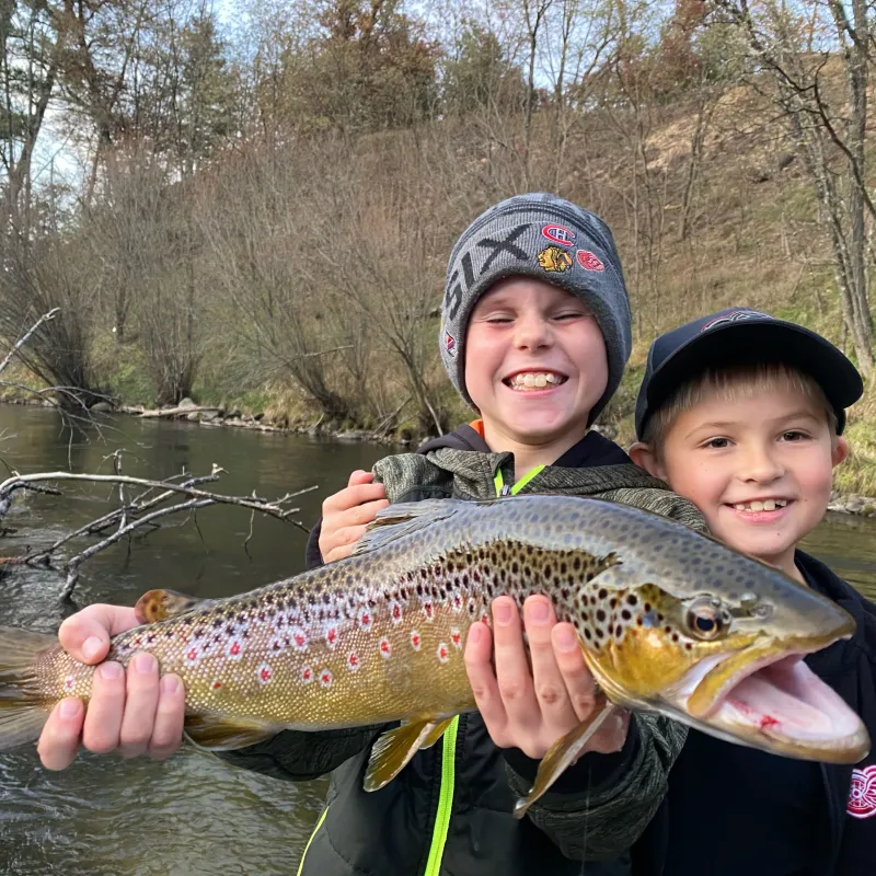Chasing Shadows: Where Trophy Trout Hide on the Au Sable When Summer Drains the River Down