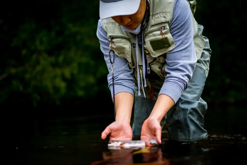 Solo or Guided: What Au Sable Anglers Actually Give Up Depending on Which Path They Choose