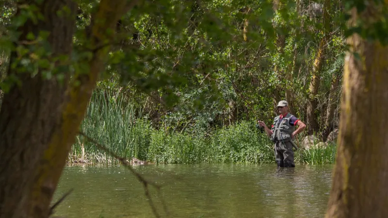 The River Is Talking—Here's How to Listen: Reading Au Sable Water Like You've Fished It for Years