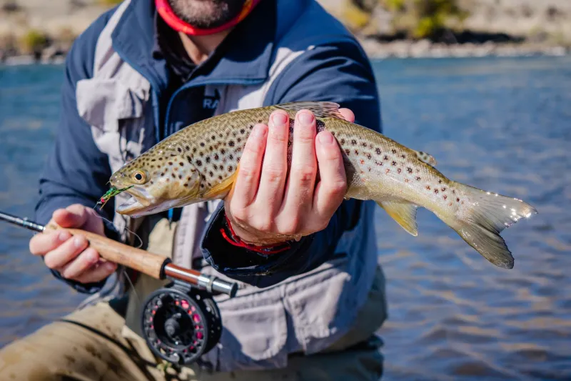 Lessons from the Road: What Your Time on the Yellowstone, Missouri, and Catskills Actually Teaches You About the Au Sable