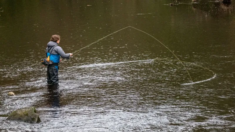 Fish Smarter, Not Harder: How Two Flies Rewire the Way Au Sable Anglers Think