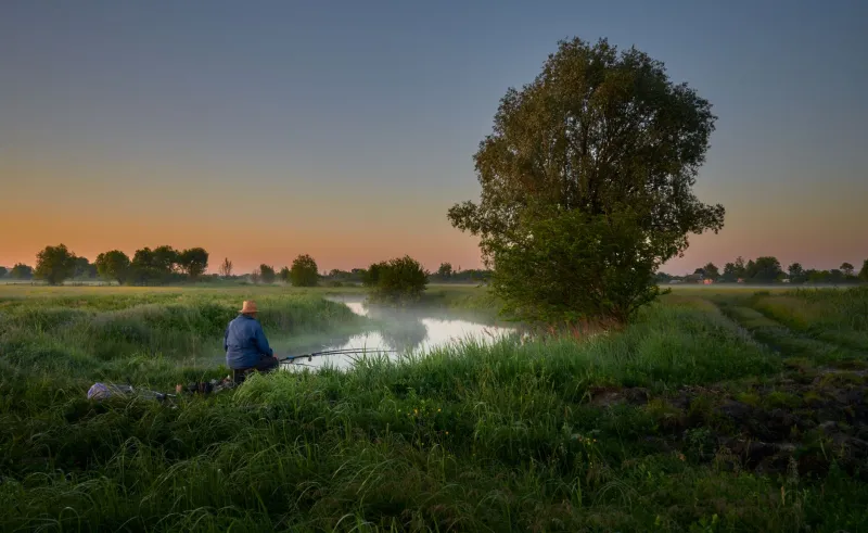 Degrees of Difference: A Week-by-Week Water Temperature Playbook for Au Sable Trout